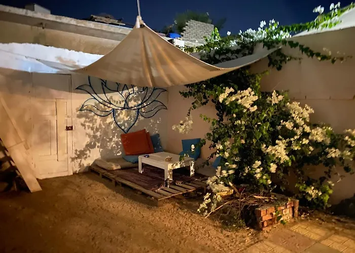 Courtyard Eel Garden *