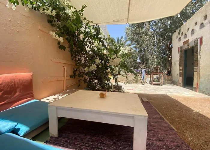 Courtyard Eel Garden بيت للعطل