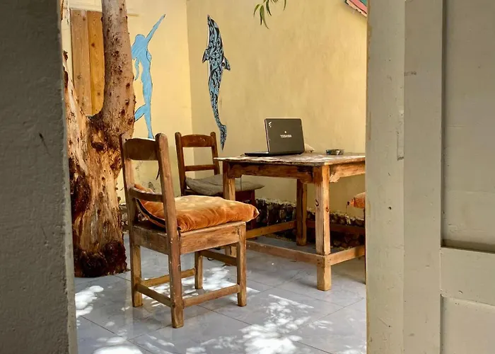 Courtyard Eel Garden دهب
